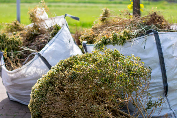 Best Hoarding Cleanup  in Dewitt, AR