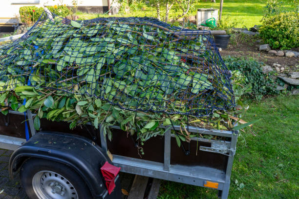 Best Commercial Junk Removal  in Dewitt, AR